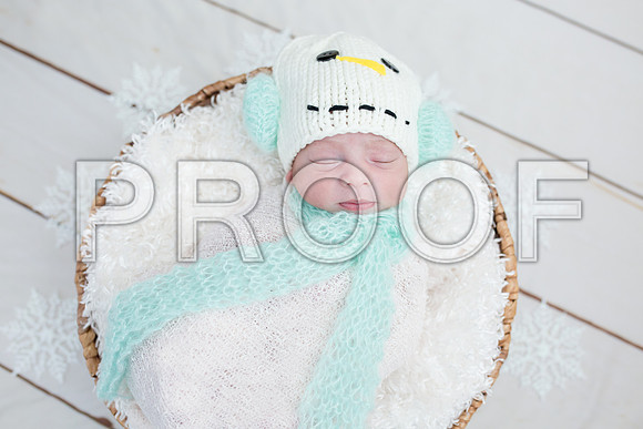 Orlando Maternity & newborn Photography