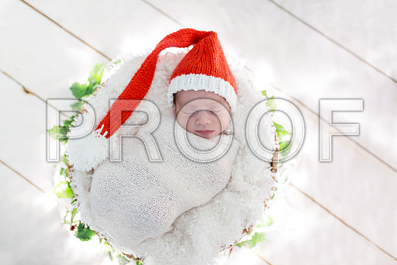 Orlando Maternity & newborn Photography