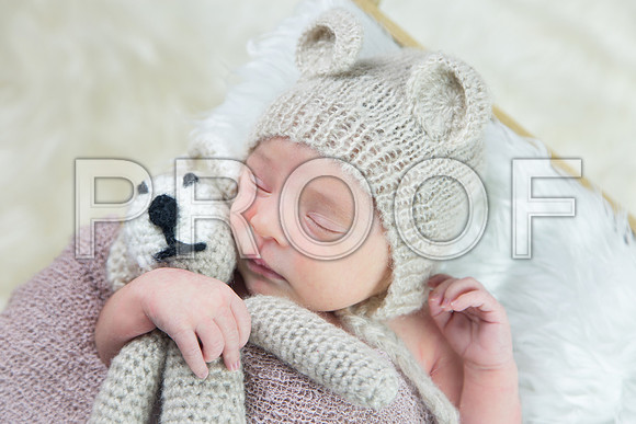 Orlando Family Maternity & newborn Photography